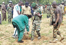 VIIe édition de la JNA: plus de 600 mille plants attendus dans les régions du Sourou et de Bankui