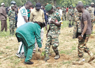 VIIe édition de la JNA: plus de 600 mille plants attendus dans les régions du Sourou et de Bankui