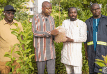 Campagne nationale de reforestation 2025: le promoteur du CFP-MEB offre 7000 plants au président du Faso