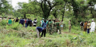 Journée nationale de l’arbre 2025: une projection de 100 000 plants à mettre en terre dans la région de Tannounyan