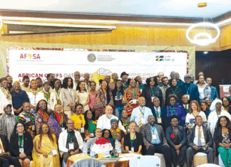 Systèmes alimentaires africains: 72 heures pour célébrer les vertus de la cuisine du continent