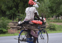 Développement socioéconomique du Burkina: les performances agricoles et les services font baisser la pauvreté en 2024