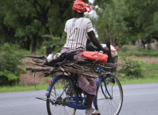 Développement socioéconomique du Burkina: les performances agricoles et les services font baisser la pauvreté en 2024
