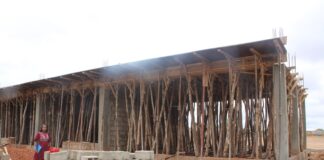 Entrepreneuriat communautaire : Le chantier de l’usine de tomates de Tenkodogo estimé à 13%