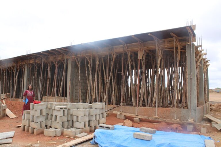 Entrepreneuriat communautaire : Le chantier de l’usine de tomates de Tenkodogo estimé à 13%