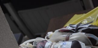 Mutuelle des femmes de la BOA : 76 poches de sang pour soutenir les malades et les FDS