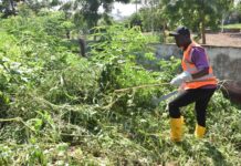 Opération mana mana du théatre Populaire « Desiré Bonongo »