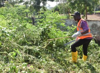 Opération mana mana du théatre Populaire « Desiré Bonongo »