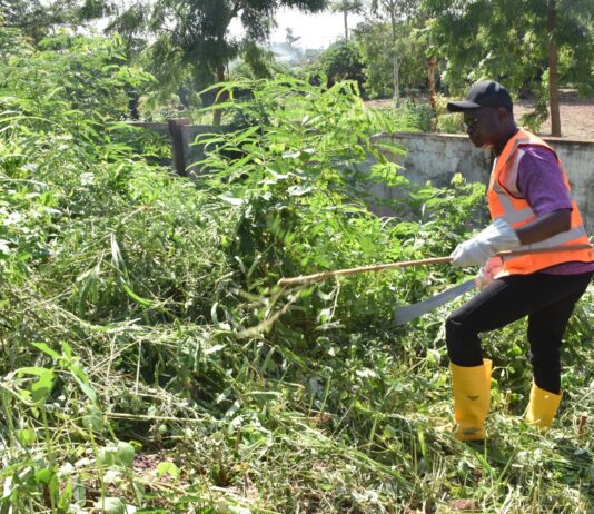 Opération mana mana du théatre Populaire « Desiré Bonongo »