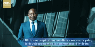 Chine-Afrique : Bâtir une coopération mondiale axée sur la paix, le développement et la communauté d’intérêts