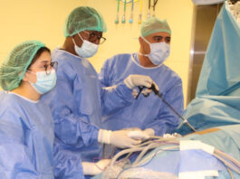 Offre de soins spécialisés : le Burkina réussit sa première transplantation rénale