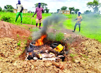 Découpes de poulets congelées : environ 205 kg détruits