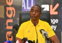 Liste des Etalons contre Djibouti et Egypte: trois néo-Etalons dans l’écurie