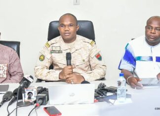 Campagne agropastorale 2025-2026 : 7 millions de tonnes de céréales attendues