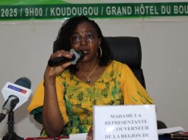 Processus de la REDD+ : les opportunités de marché carbone présentées au patronat de Nando