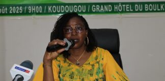 Processus de la REDD+ : les opportunités de marché carbone présentées au patronat de Nando