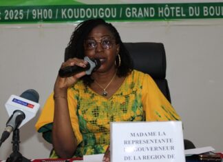 Processus de la REDD+ : les opportunités de marché carbone présentées au patronat de Nando