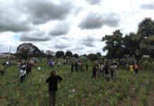 Immersion patriotique: un bosquet de plus de 350 plants pour les nouveaux bacheliers du Nazinon
