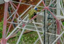 Protection des installations vitales dans les zones d’opération: les gendarmes rétablissent le réseau Moov à Toéni