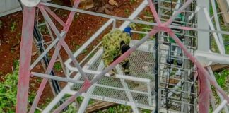 Protection des installations vitales dans les zones d’opération: les gendarmes rétablissent le réseau Moov à Toéni