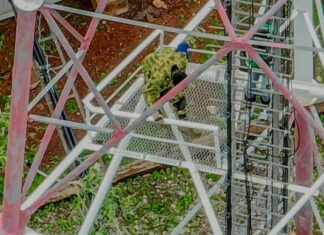 Protection des installations vitales dans les zones d’opération: les gendarmes rétablissent le réseau Moov à Toéni