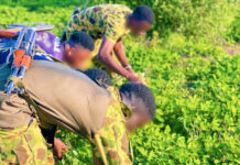 Reconquête du territoire et souveraineté alimentaire : l’ESRI II de Bondokuy emblave 43 hectares pour renforcer la résilience nationale