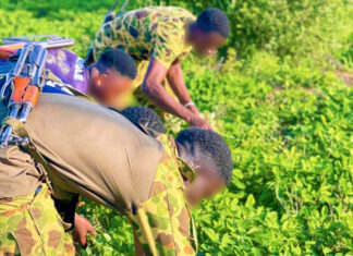 Reconquête du territoire et souveraineté alimentaire : l’ESRI II de Bondokuy emblave 43 hectares pour renforcer la résilience nationale