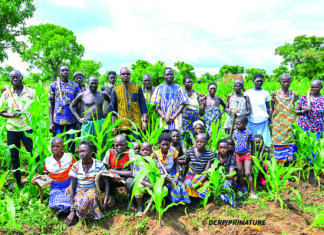 Campagne agricole: le Premier ministre apporte son soutien aux producteurs