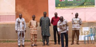 DPEPPNF/Yatenga: une journée de loisir accouche de 42 poches de sang