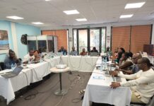 Médias et systèmes alimentaires africains :produire des narratifs au service de la souveraineté du continent