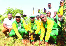 Campagne de reforestation: la CNSS met en terre 800 plants