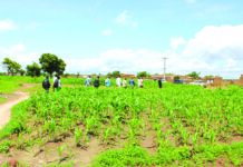 Implantation de zones industrielles : L’ANCF en mission de prospection à Koudougou