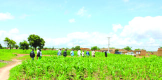 Implantation de zones industrielles : L’ANCF en mission de prospection à Koudougou