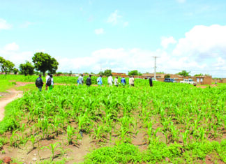 Implantation de zones industrielles : L’ANCF en mission de prospection à Koudougou
