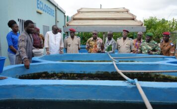 Pisciculture: le personnel militaire formé aux techniques des cages flottantes