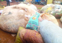 Collecte des déchets plastiques: une source de revenu, un moyen d’assainissement de la ville de Dédougou