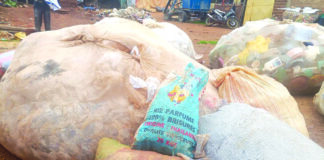 Collecte des déchets plastiques: une source de revenu, un moyen d’assainissement de la ville de Dédougou