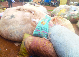 Collecte des déchets plastiques: une source de revenu, un moyen d’assainissement de la ville de Dédougou