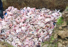 Trafic de produits d’origine animale: Plus d’une tonne de poulets congelés saisis