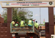 Commune de Ouagadougou: 7 000 animaux en divagation mis en fourrière en 6 mois