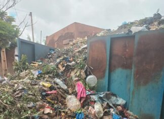 Quartier Wayalghin de Ouagadougou: un dépôt d’ordures indispose les populations