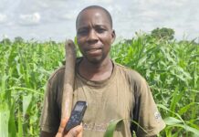 Campagne agricole 2025-2026: environ 2,5 millions de tonnes de productions attendues dans le Bankui et le Sourou