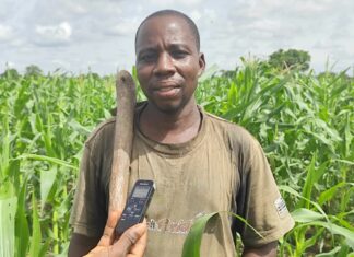 Campagne agricole 2025-2026: environ 2,5 millions de tonnes de productions attendues dans le Bankui et le Sourou