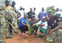Reboisement: le Bureau national des Grands projets du Burkina reverdit son bosquet à Samendeni