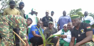 Reboisement: le Bureau national des Grands projets du Burkina reverdit son bosquet à Samendeni