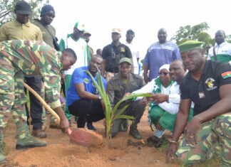 Reboisement: le Bureau national des Grands projets du Burkina reverdit son bosquet à Samendeni