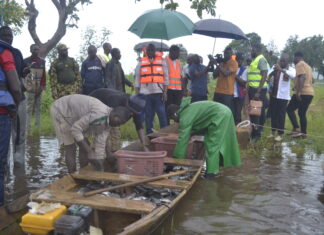 Pisciculture en cages flottantes: une expérience concluante à Samendeni