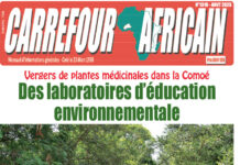 Une Carrefour africain n°1318-août 2025