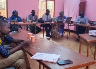 Egalité de genre et l’accès à la santé dans les réponses d’urgence: La CAPSSR-BF et la presse en concertation