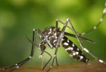 Target Malaria : Il est mis fin à toutes les activités du projet sur toute l’étendue du territoire national